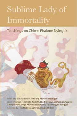 Sublime Lady of Immortality : Teachings on Chime Phakme Nyingtik