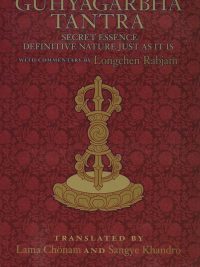 The Guhyagarbha Tantra : Secret Essence Definitive Nature Just As It Is