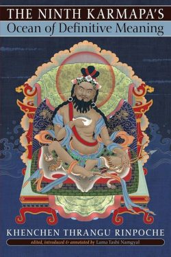The Ninth Karmapa's Ocean Og Definitive Meaning