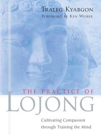 The Practice Of Lojong : Cultivating Compassion Through Training The Mind