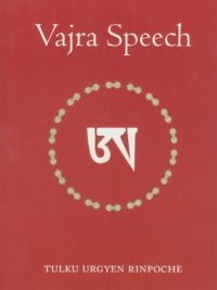 Vajra Speech : Pith instructions for the Dzogchen Yogi