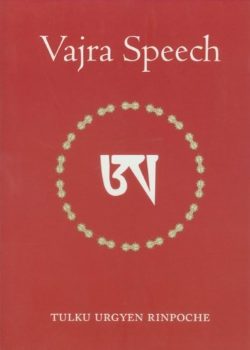 Vajra Speech : Pith instructions for the Dzogchen Yogi