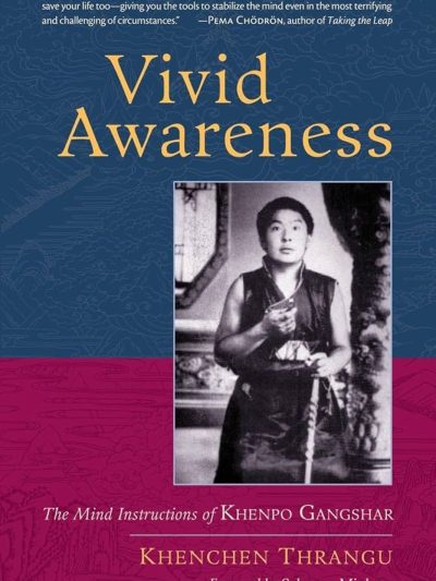 Vivid Awareness : The Mind Instructions of Khenpo Gangshar
