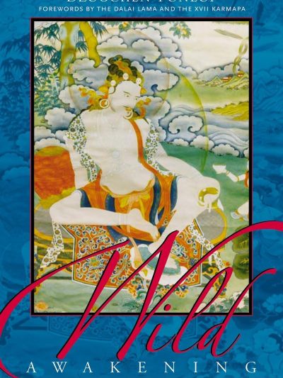 Wild Awakening : The Heart Of Mahamudra And Dzogchen