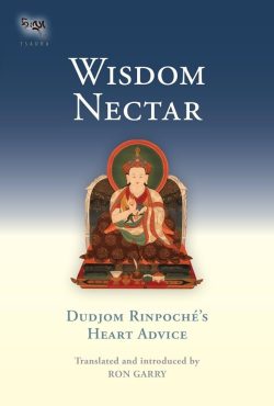 Wisdom Nectar : Dudjom Rinpoche's Heart Advice
