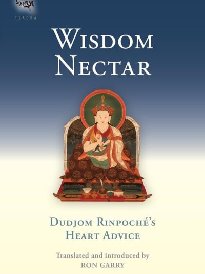 Wisdom Nectar : Dudjom Rinpoche's Heart Advice