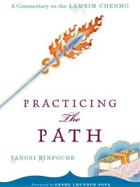 Practicing the Path : A Commentary on the Lamrim Chenmo
