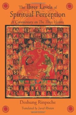 The Three Levels of Spiritual Perception : A Commentary on the Three Visions