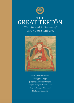 The Great Terton : The Life and Activities of Chokgyur Lingpa