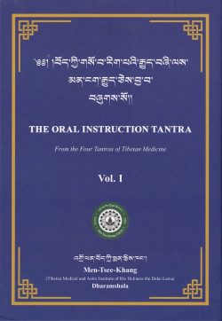 The Oral Instruction Tantra : From the Four Tantras of Tibetan Medicine (Vol 1)