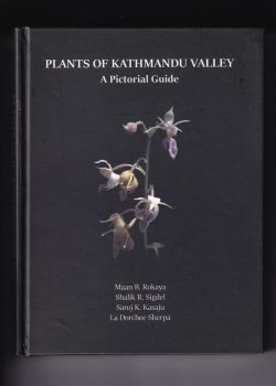 Plants of Kathmandu Valley : A Pictorial Guide