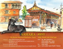 Sahara : The Rescue Dog from Bhaktapur, Nepal