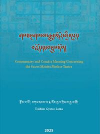 Commentary and Concise Meaning Concerning the Secret Mantra Mother Tantra