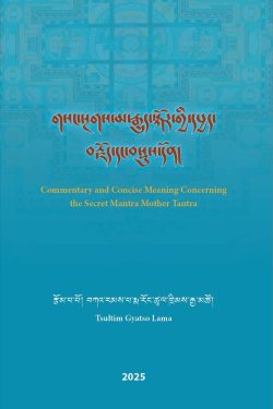 Commentary and Concise Meaning Concerning the Secret Mantra Mother Tantra